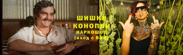 прущие крисы Беломорск