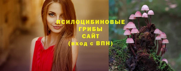 прущие крисы Беломорск