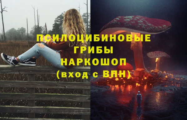 прущие крисы Беломорск