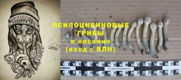 гидра Белоозёрский