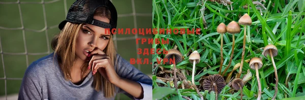 прущие крисы Беломорск