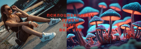 меф Дмитровск